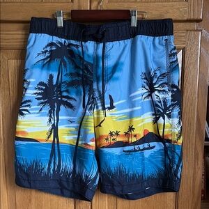 Old Navy Blue and Yellow Board Shorts with Tropical Design